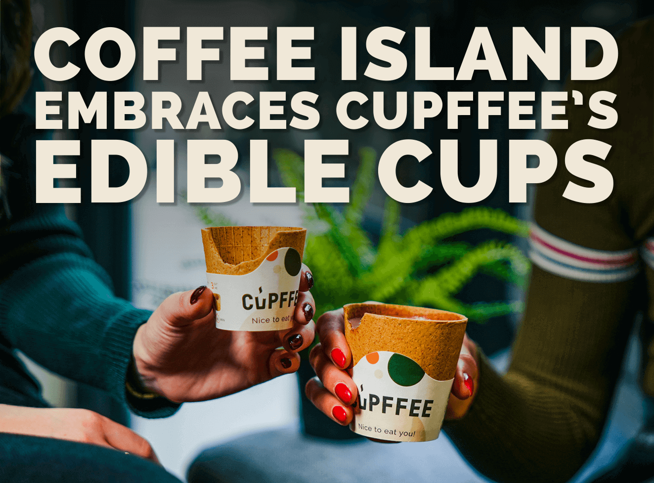 Coffee Island Embraces Cupffee's Edible Cups for Greener Business