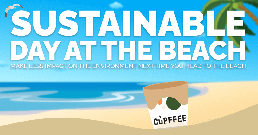 Sustainable day at the beach