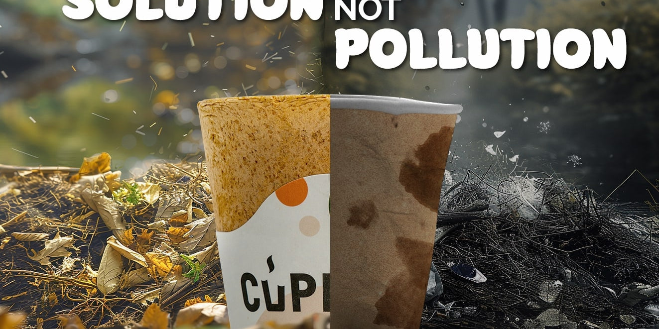 Be a Part of The Solution, Not Pollution